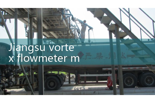 Jiangsu Vortex Flow Meter Manufacturer